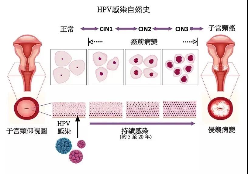 微信图片_20201117101009.jpg