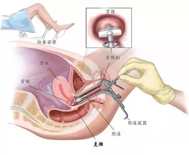 微信图片_20201117101018.jpg