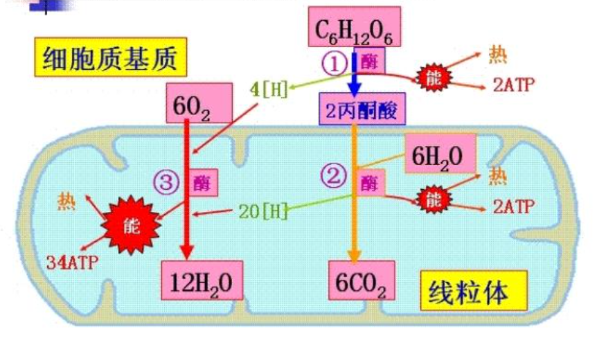 5d62a546d4486fe8e9a7e57eaa80da66_html_694ffa0ecb82e963.png