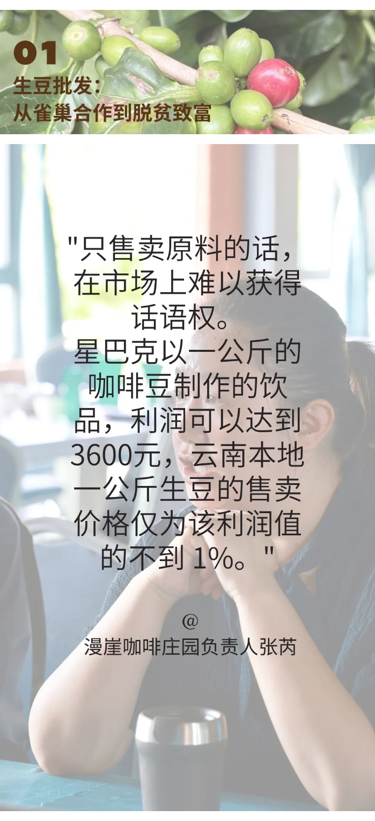 阳光下的咖啡果：云南省全力推进咖啡产业精深加工转型之路